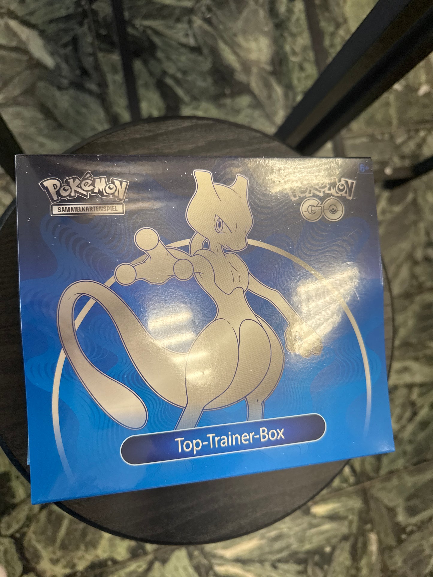 Pokémon Go TTB