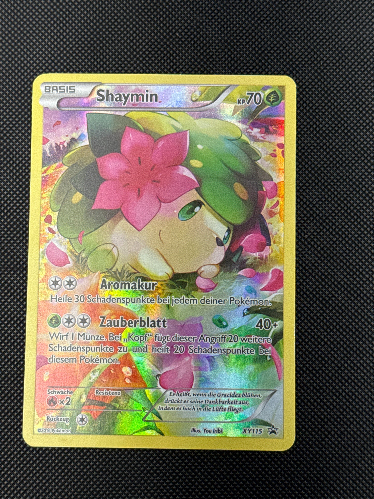 Pokemon Shaymin XY