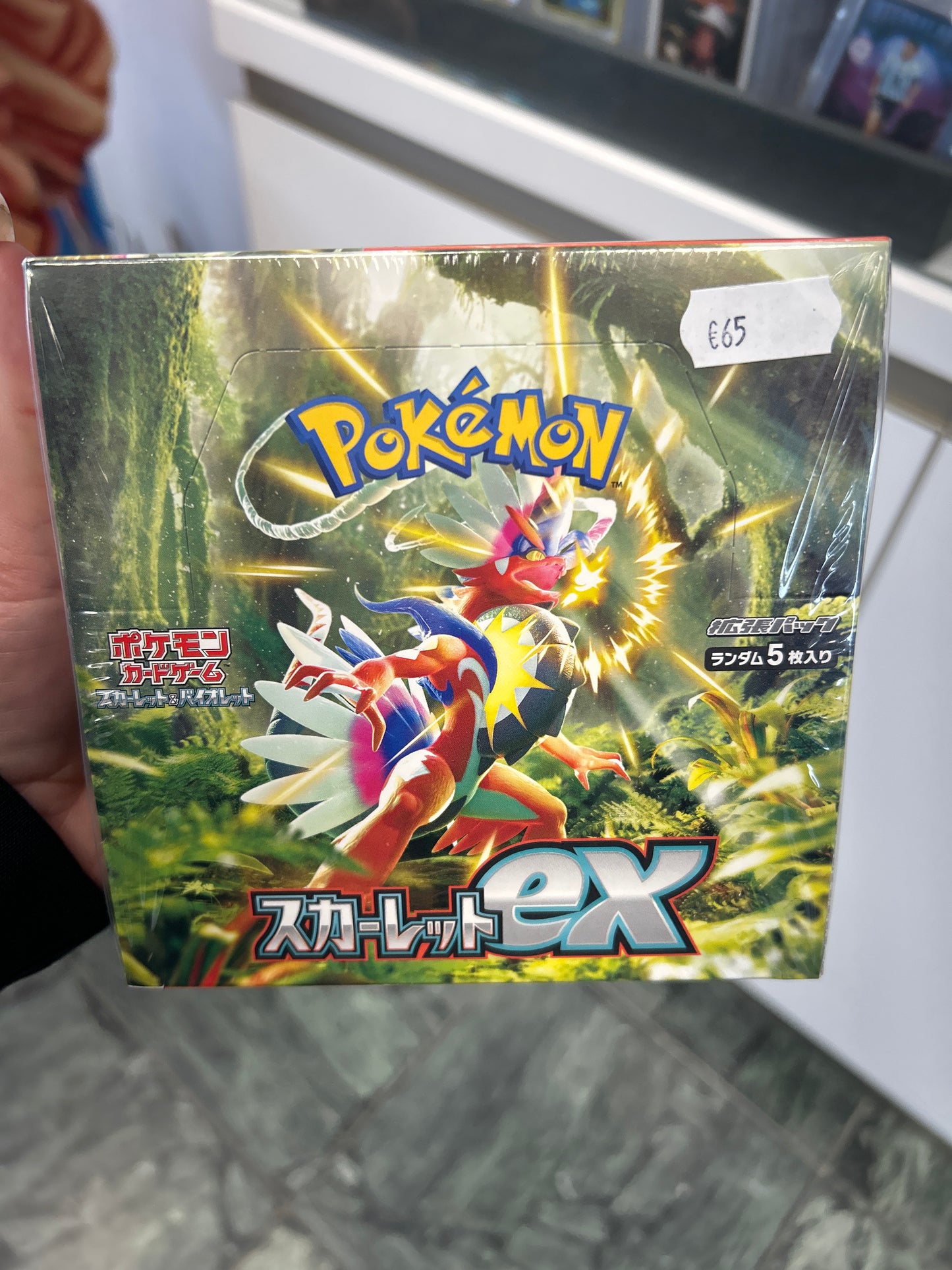 Pokémon Display japanisch