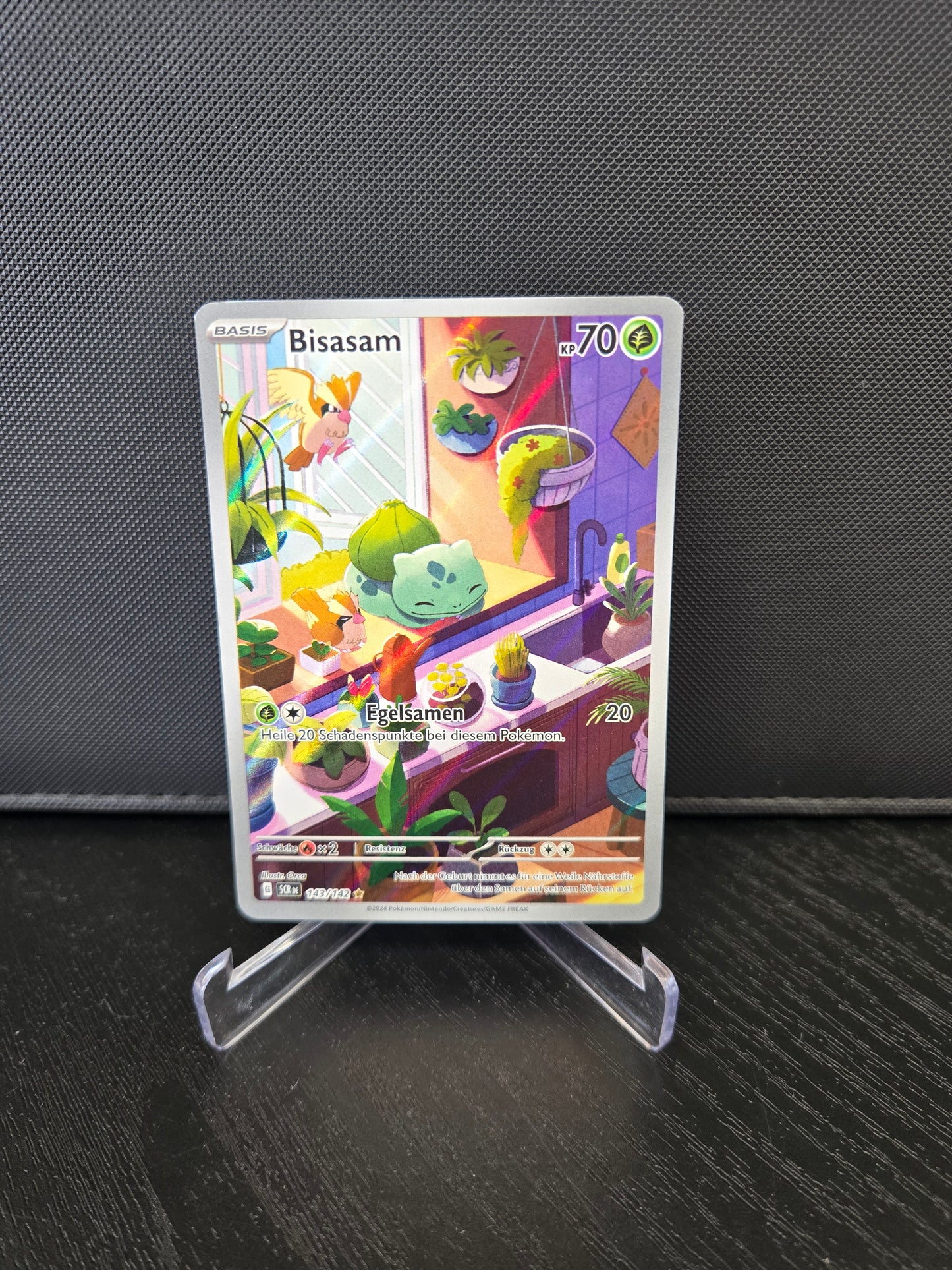 Pokémon Bisasam SCR143