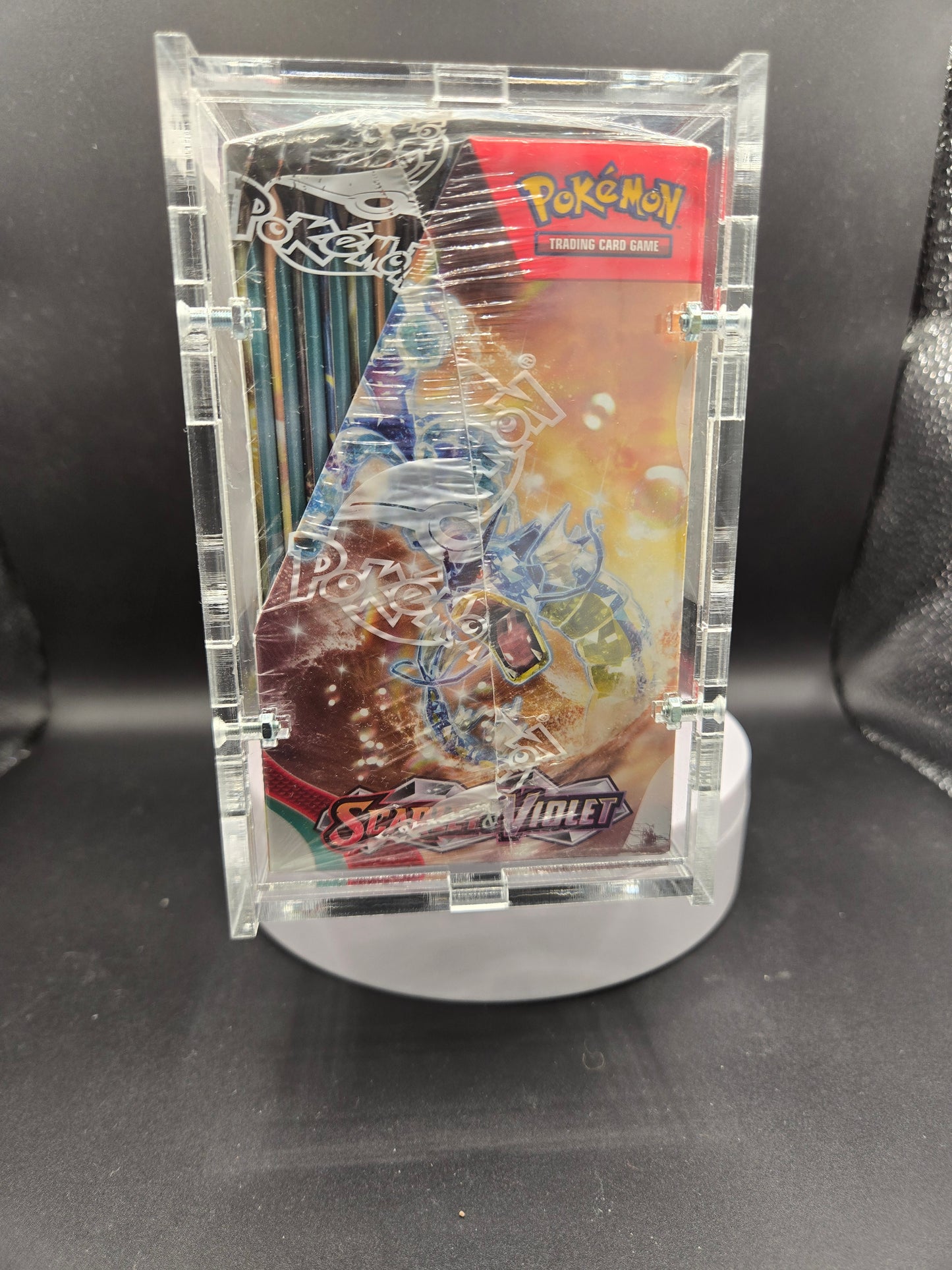 Pokémon Scarlet&Violet Display