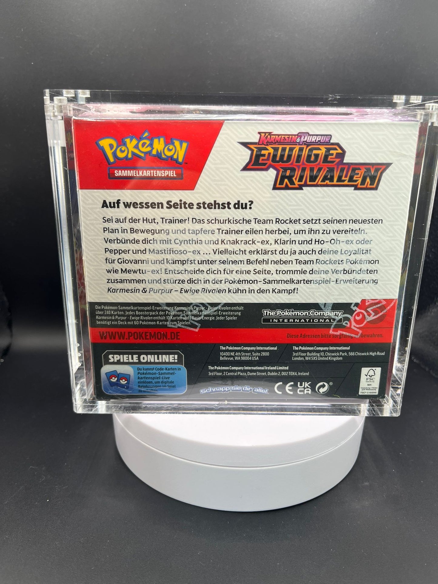 Pokémon Ewige Rivalen Display