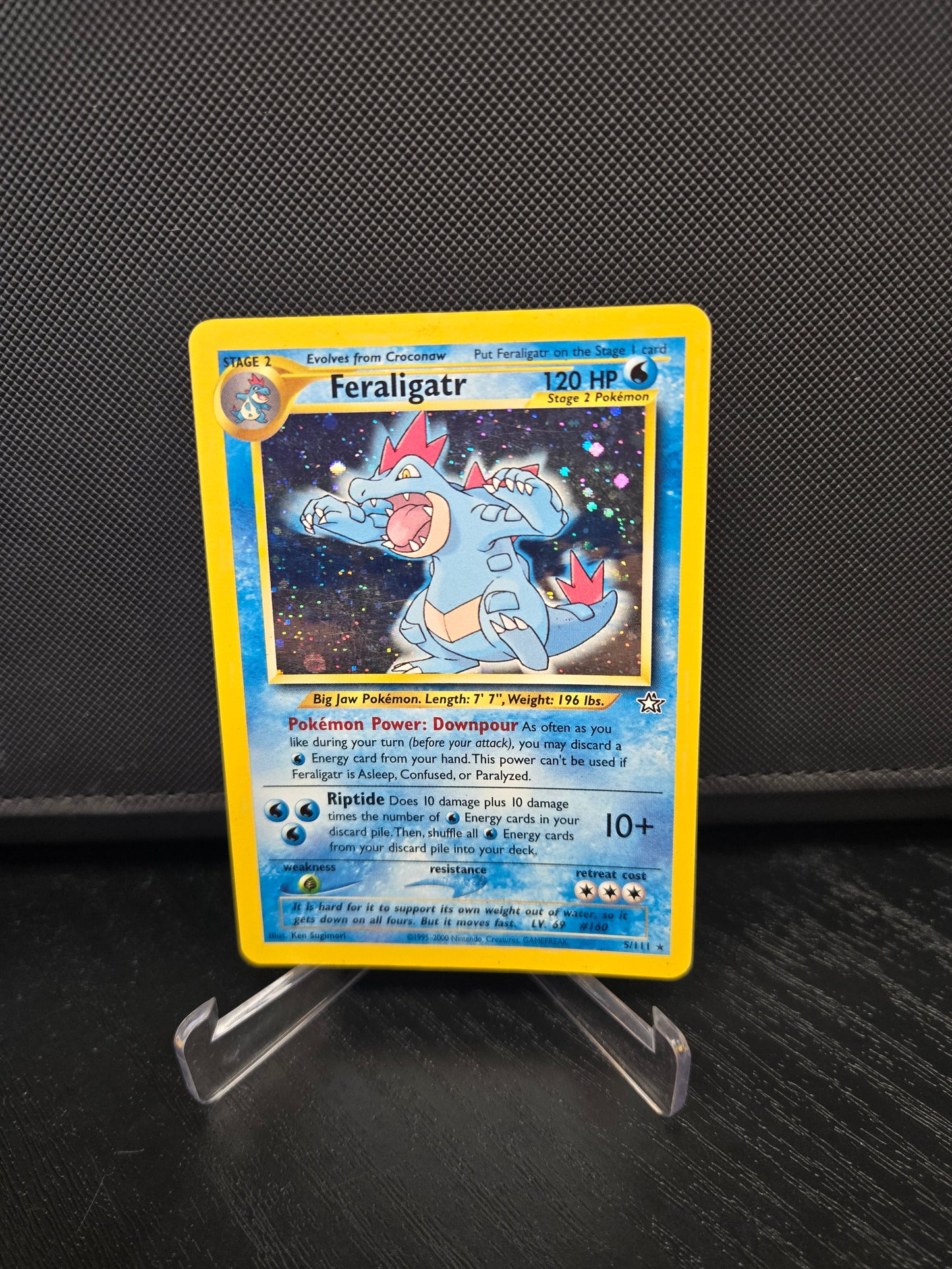 Pokémon Feraligatr NG5
