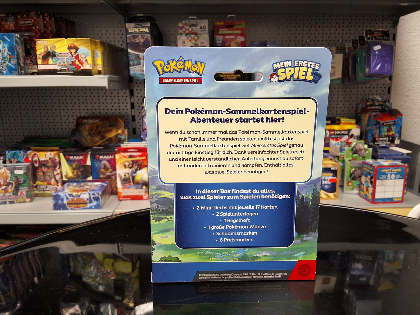 Pokemon mein erstes Spiel Sammelkatenspiel