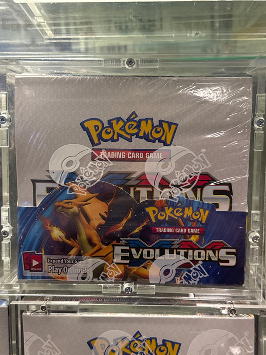 Pokemon Evolution display englisch