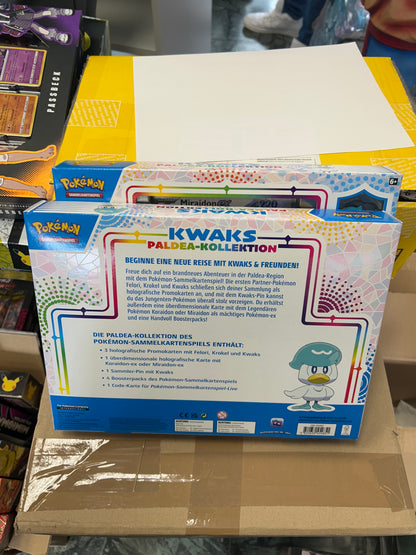 Pokémon Kwaks paldea- Kollektion Box
