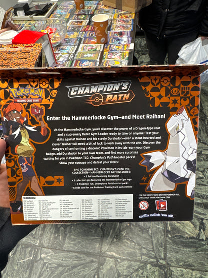 Champions path Hammerlocke Gym pin Collection