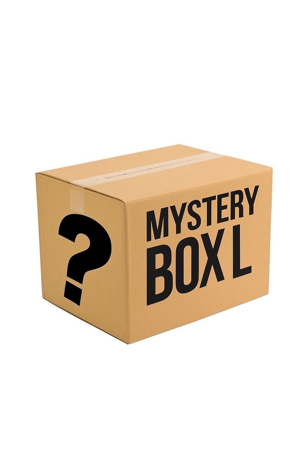 Pokemon Mystery Box L - Limitiert