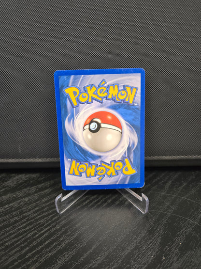 Pokémon Raichu FL12