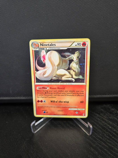 Pokémon Nintales CF17